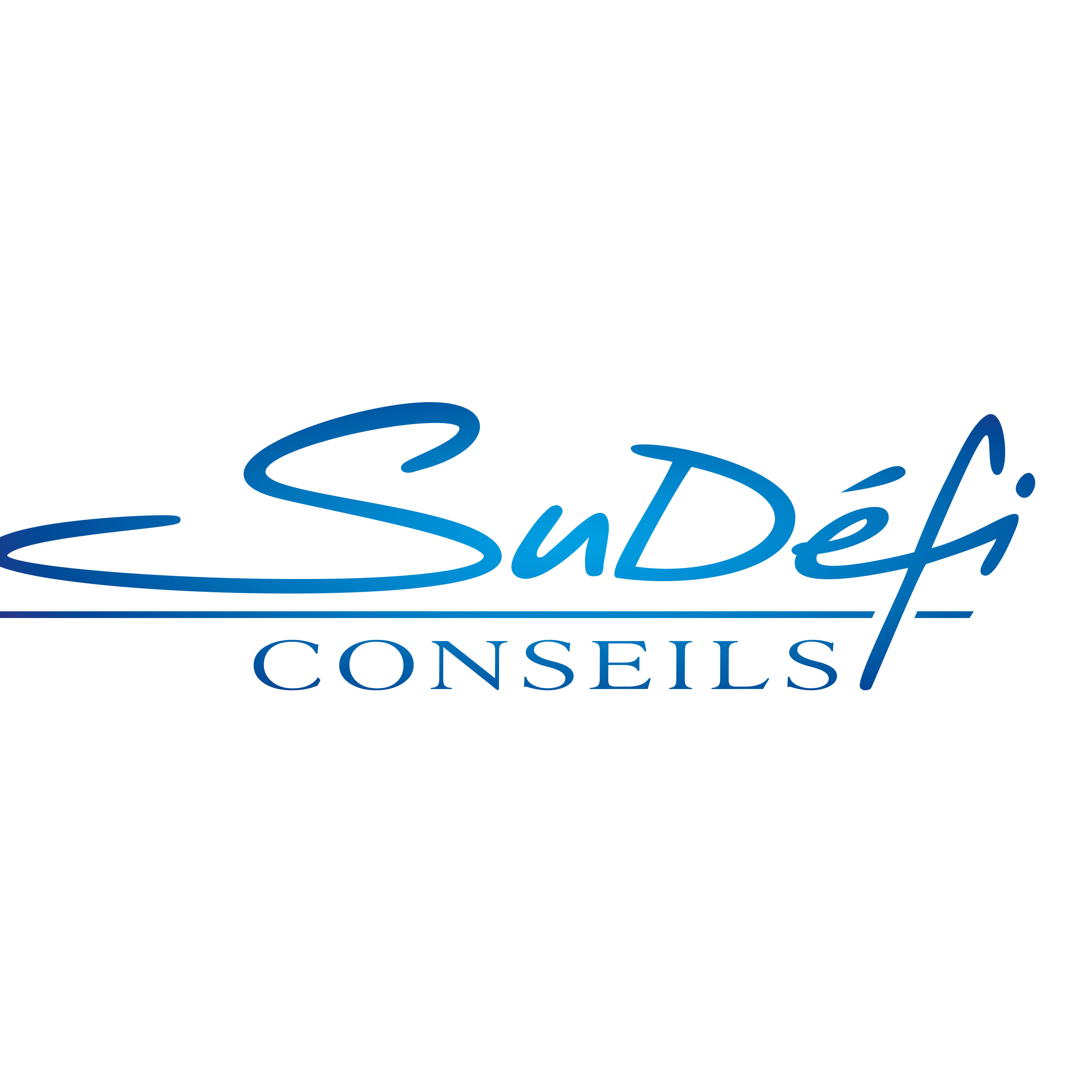 SUDEFI CONSEILS – Expert-comptable logo