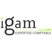 INSTITUT DE GESTION ET D'AUDIT DES METIERS – Expert-comptable logo